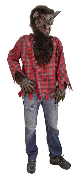 , , , , ,   ,   ,   ,    .