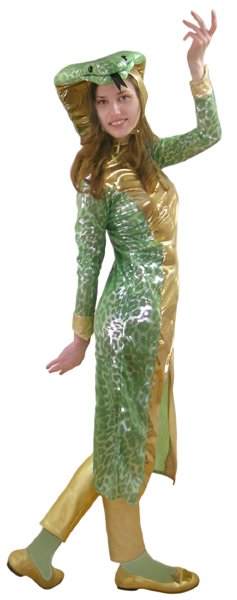 , , , ,   ,   ,   ,    .