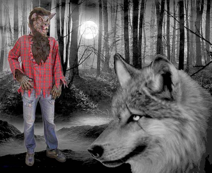 , , , , ,   ,    ,    ,    , .