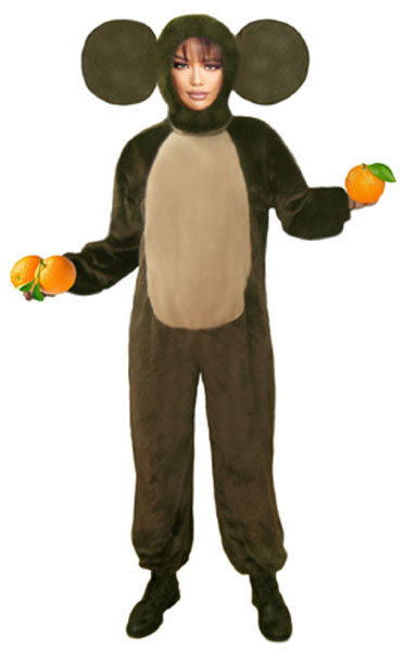 ���������, ������ ������� ���������, ������ ��������� ������, �������� ����, ��������.